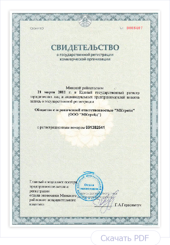 Свидетельство о государственной регистрации МКтрейд